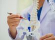 A healthcare professional in a white coat points to a model of the human spine and pelvis with a pen, representing spinal care and physical therapy services like those offered by BioMotion Physical Therapy.