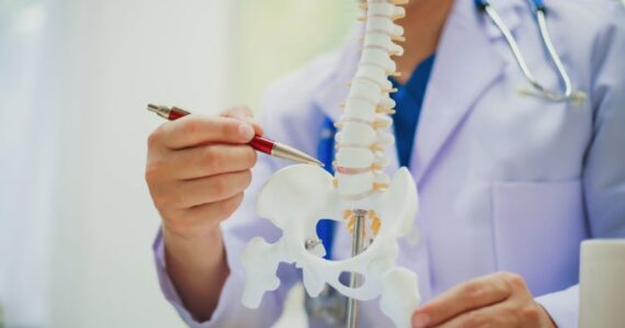 A healthcare professional in a white coat points to a model of the human spine and pelvis with a pen, representing spinal care and physical therapy services like those offered by BioMotion Physical Therapy.