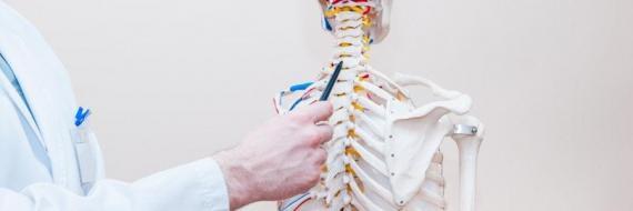 PT doc with skeleton